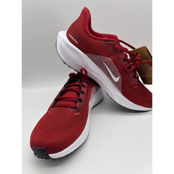 Nike Air Zoom Pegasus 41 Arkansas Razorbacks IB3246 600 Men Size 9.5 New
